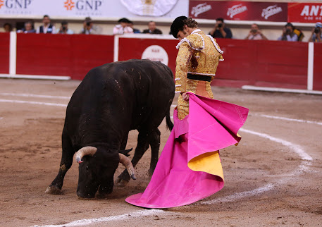 Ocho con Ocho: San Marcos Por Luis Ramón Carazo