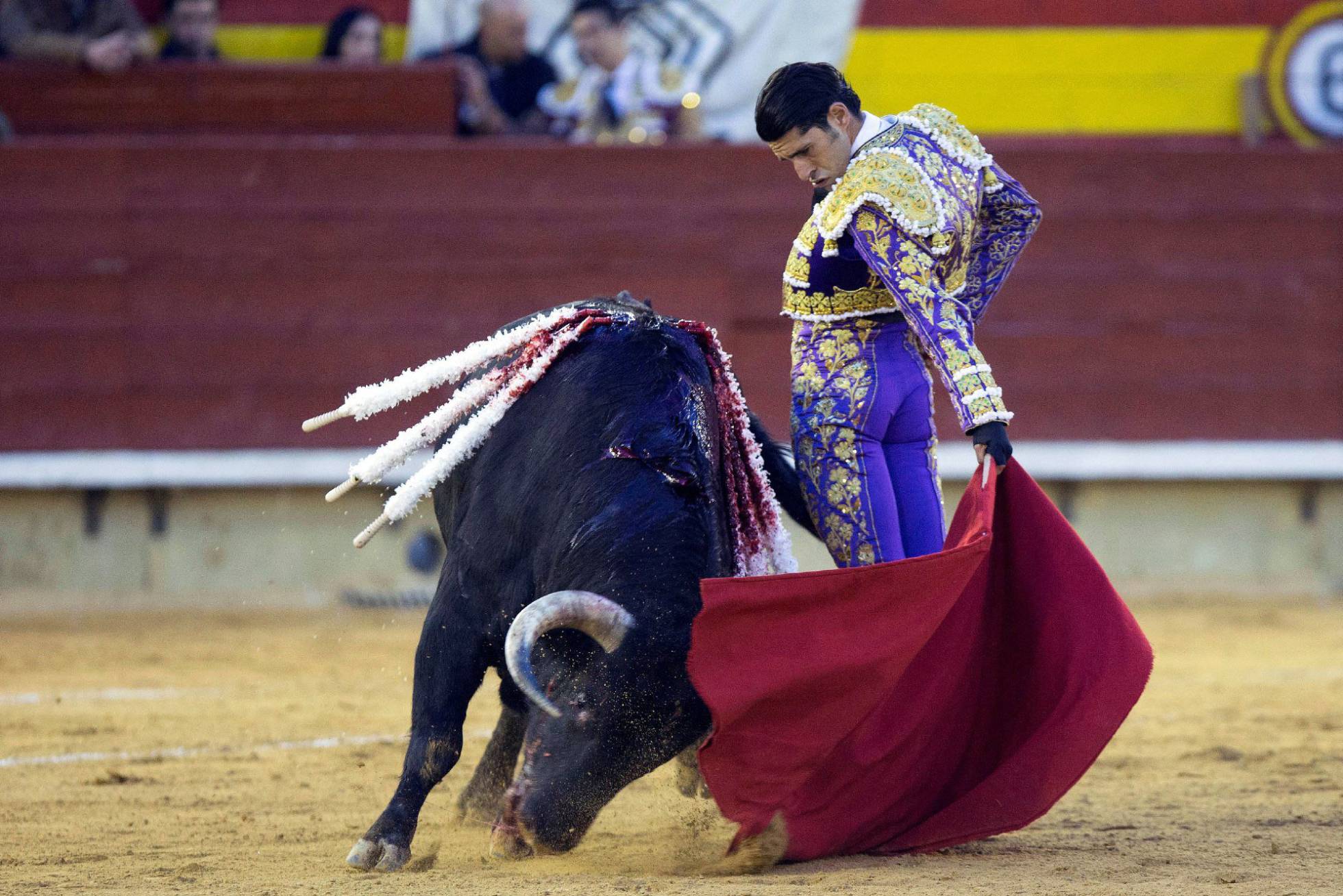 Feria de la Magdalena: El Juli y Talavante, a hombros en la gran fiesta ...