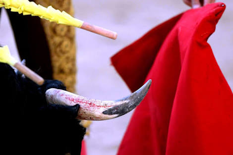 ¿La Fiesta en Paz? La abandonada tradición de los toros puso de acuerdo ...