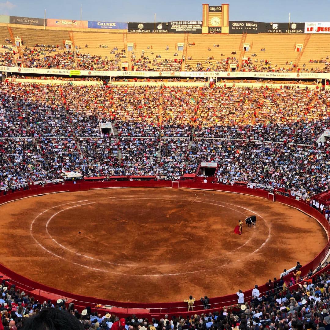 ¿La Fiesta en Paz? Terquedades y omisiones en el reciente serial de La ...