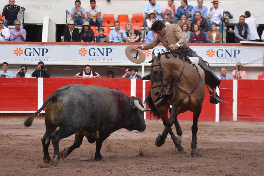 Crónica de Aguascalientes: ¿Donde está el ganado bravo mexicano?