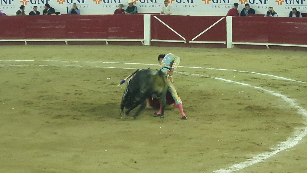 Los Caminos del Temple – A hombros Diego San Román en León.