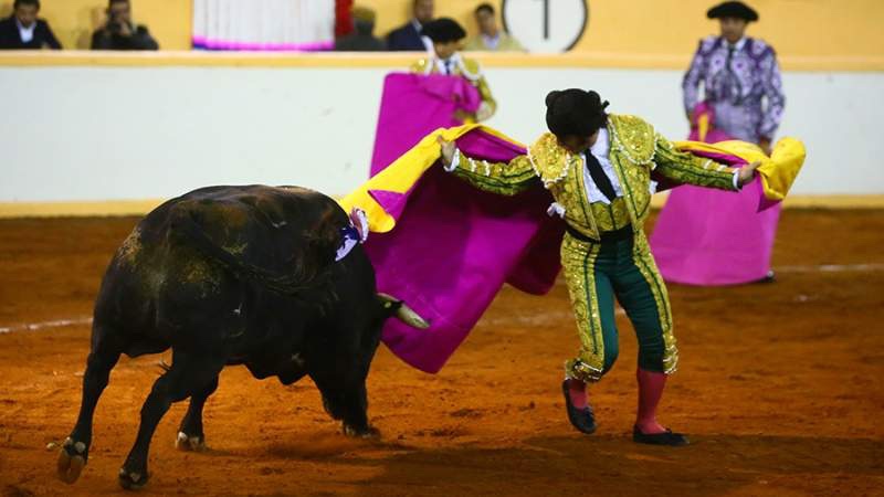 Morante encabezará el primer festejo taurino del año en Burgos.