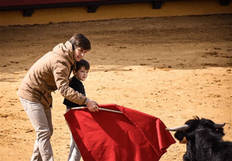 Opinión: La tauromaquia es cultura.