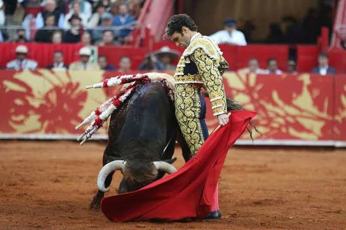 Tauromaquia; la supervivencia amenazada Por Rafael Cardona.