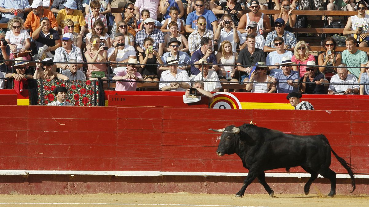 Cartel de Toros – Feria de Fallas 2022.