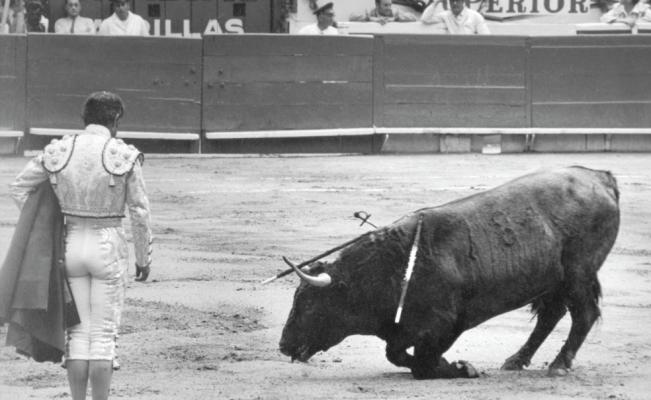 Las despedidas de los toreros: Luis Procuna.