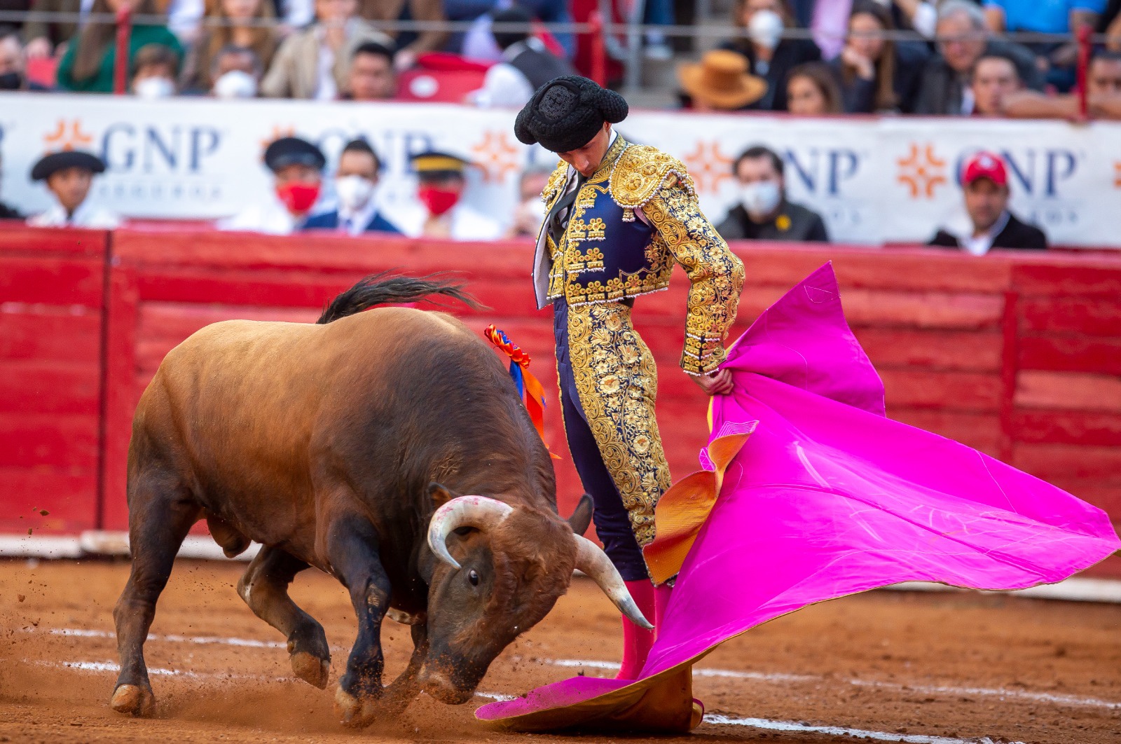 No respaldará Morena dictamen que prohíbe corridas de toros en la CDMX.