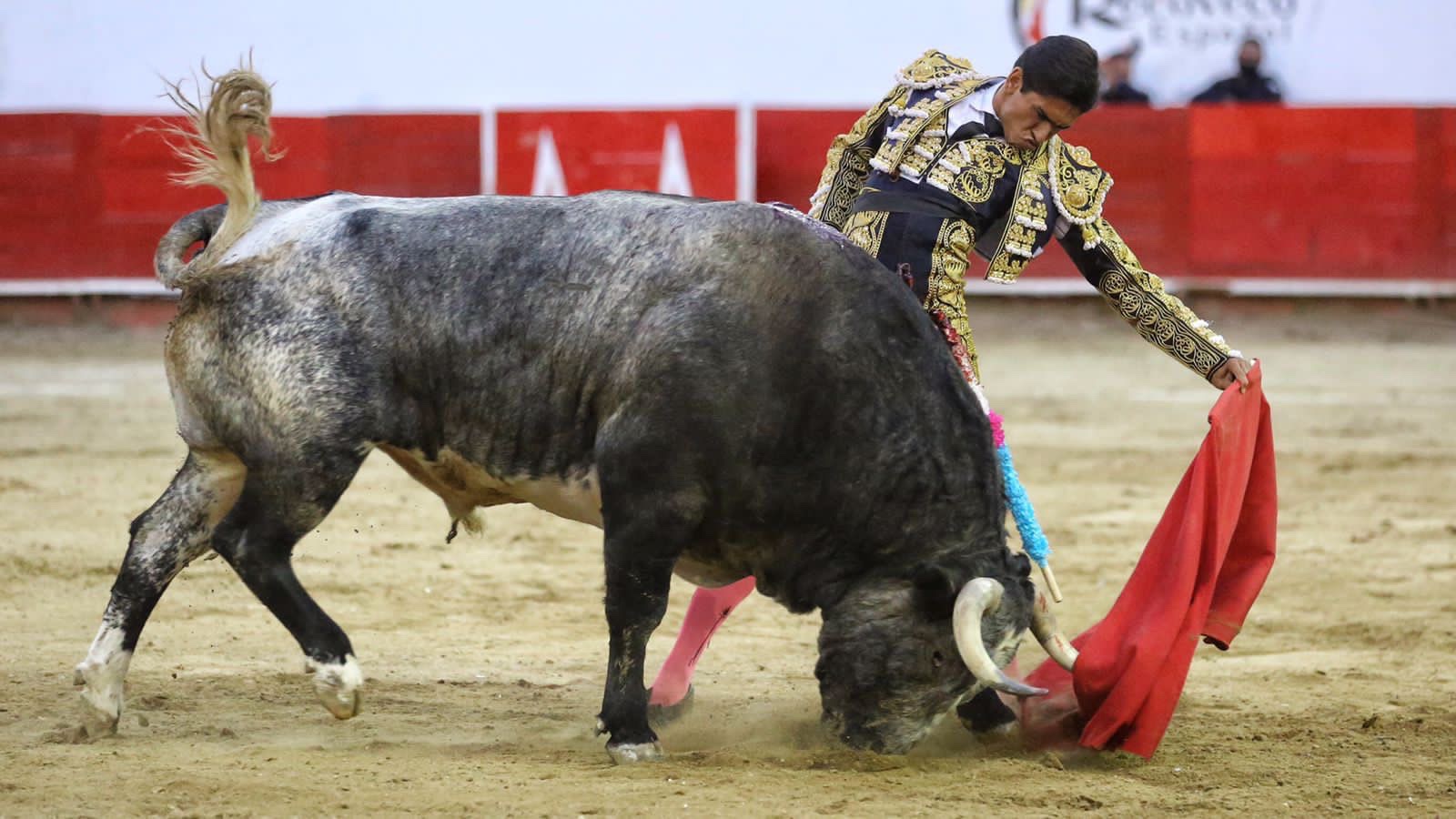 Crónica: Héctor Gutiérrez hace rugir a la Nuevo Progreso.