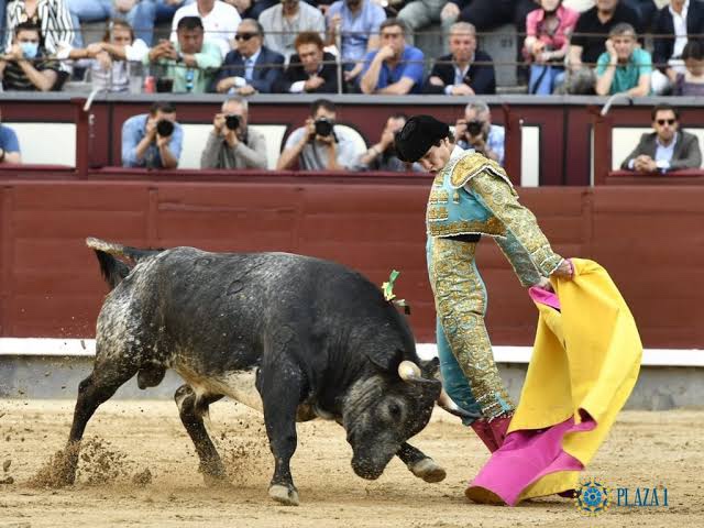 Opinión: San Isidro, la vespertina distracción.