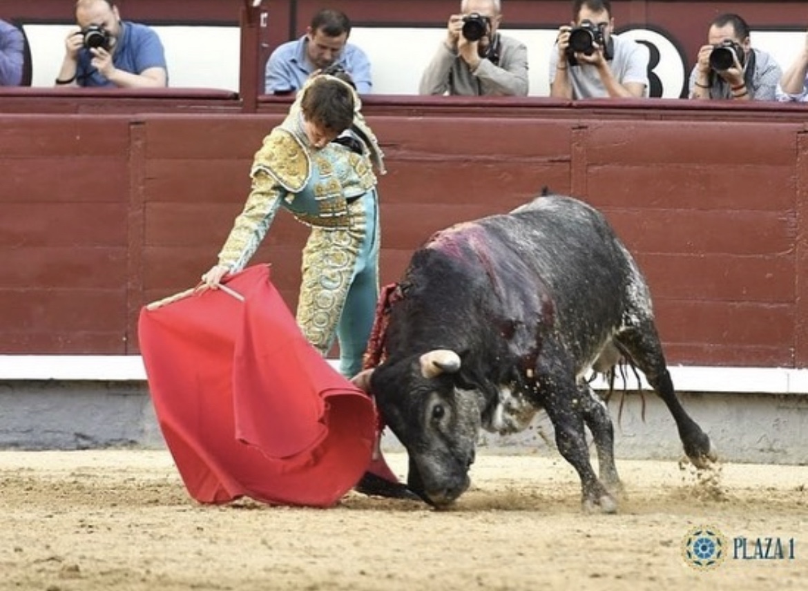 ‘No sufrirá secuelas tras cornada’, dice padre de Arturo Gilio.