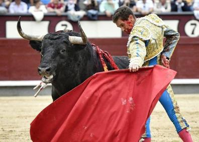Feria de San Isidro: Cornada grave a Ginés Marín, pundonor torero.