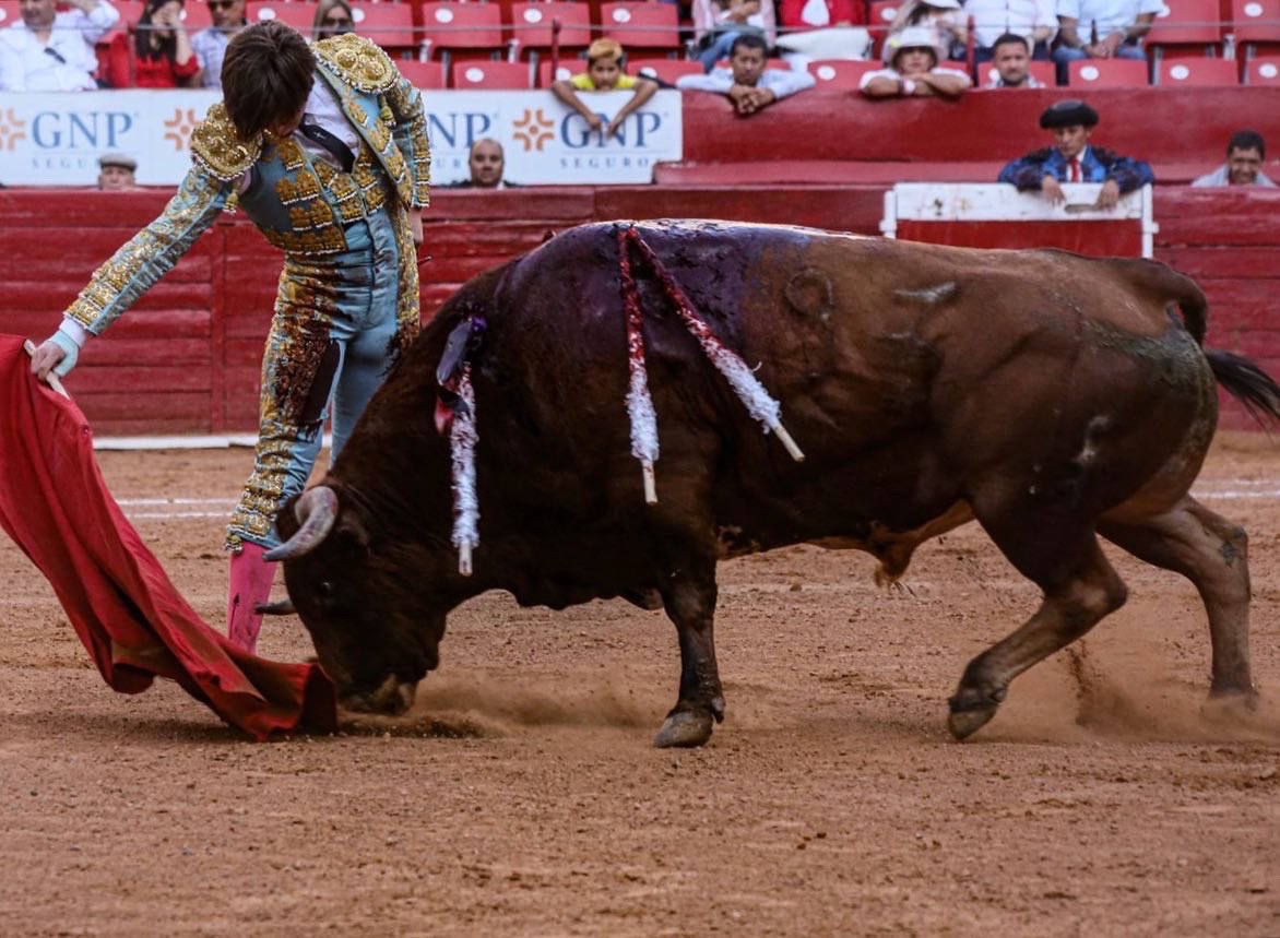 Aplaza Corte condena contra corridas de toros.