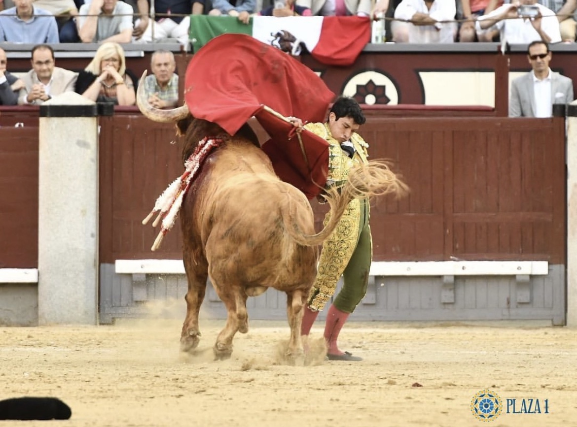 Feria de San Isidro: Fonseca, un mexicano que pide paso a empujones.
