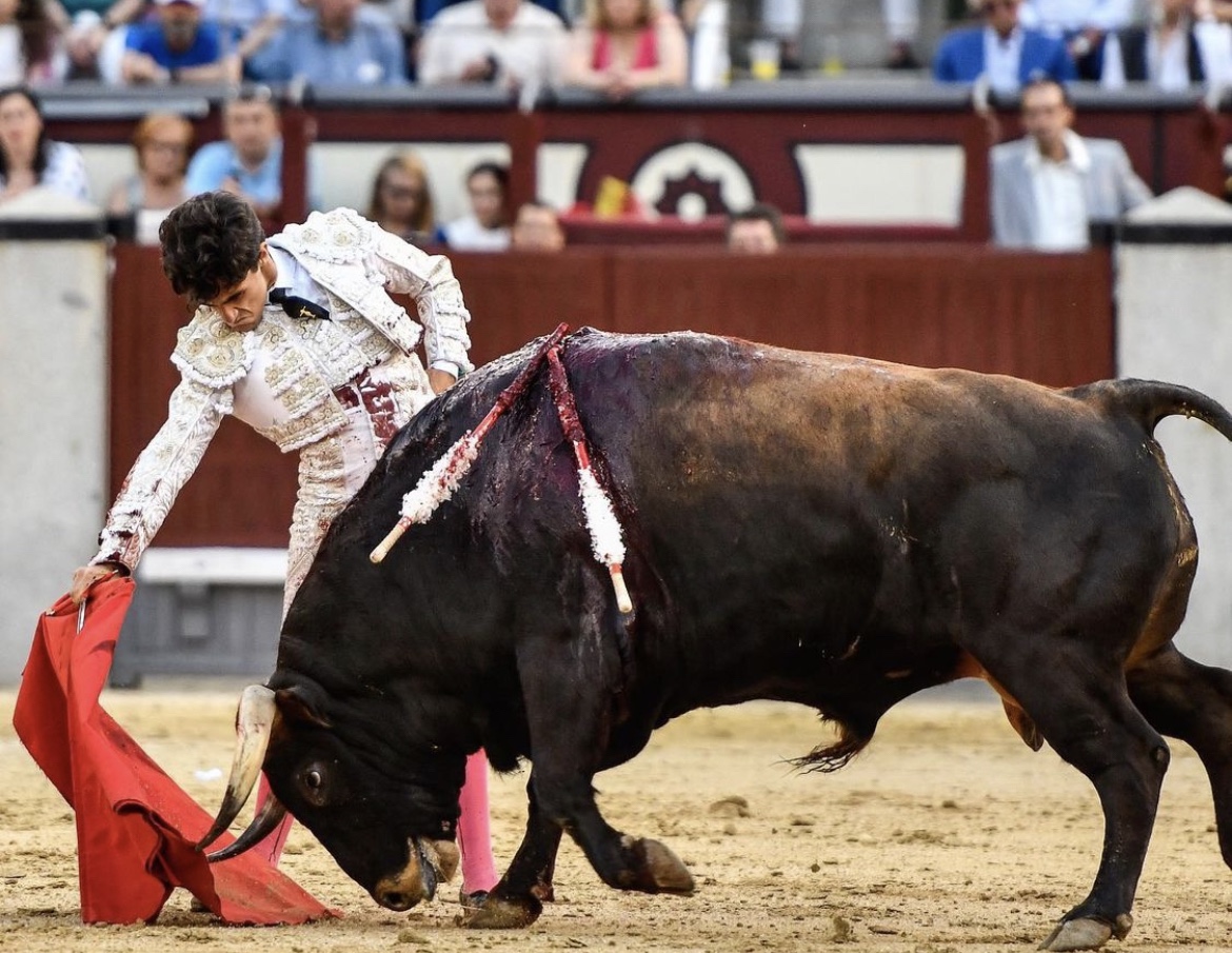 Feria de San Isidro: Álvaro Alarcón, la gran sorpresa, tres orejas y puerta grande.