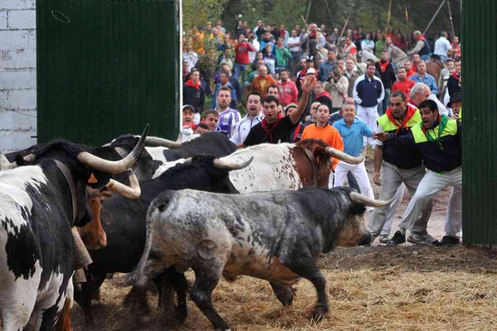Segovia: Feria de Cuellar 2022