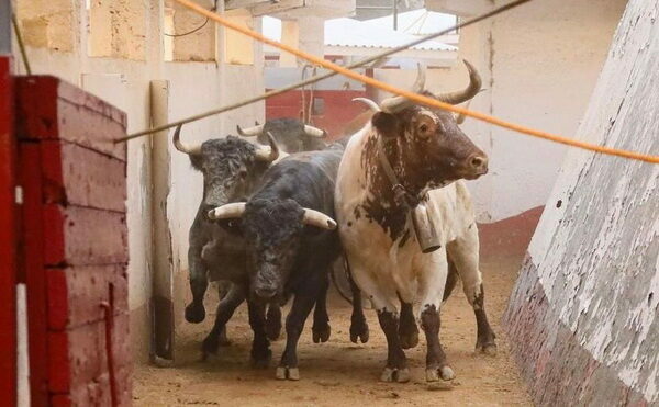 Monumental de Monterrey “Concurso de Ganaderías”: San Diego de los Padres, uno de los pilares de la ganadería brava mexicana.