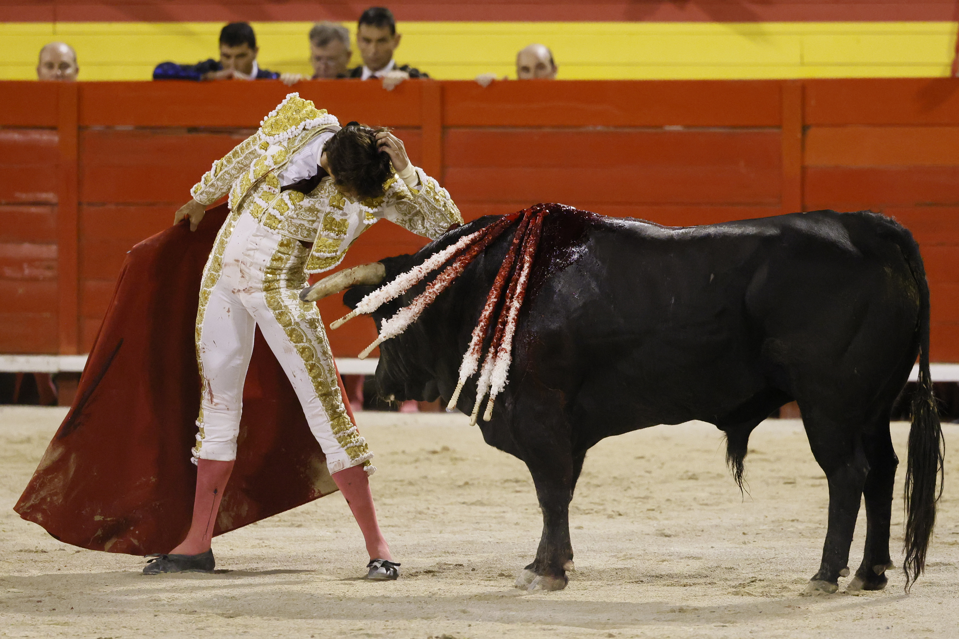 Los toros vuelven a Mallorca por la puerta grande, con triunfo de Juli y Fandi.