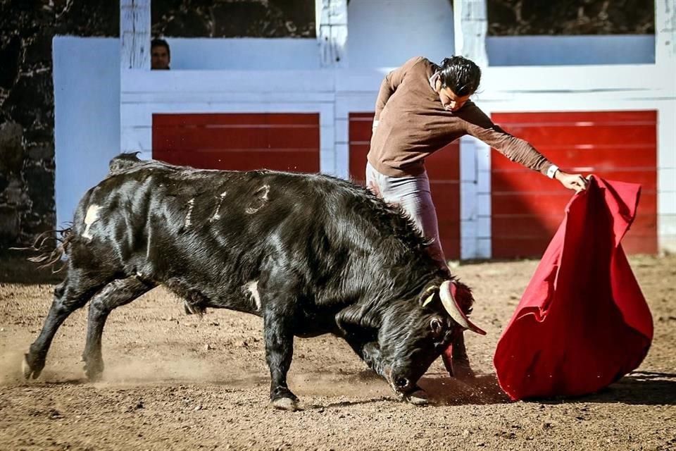 San Luis Potosí: Diego San Román se presenta como matador de toros el próximo viernes 19 de agosto.