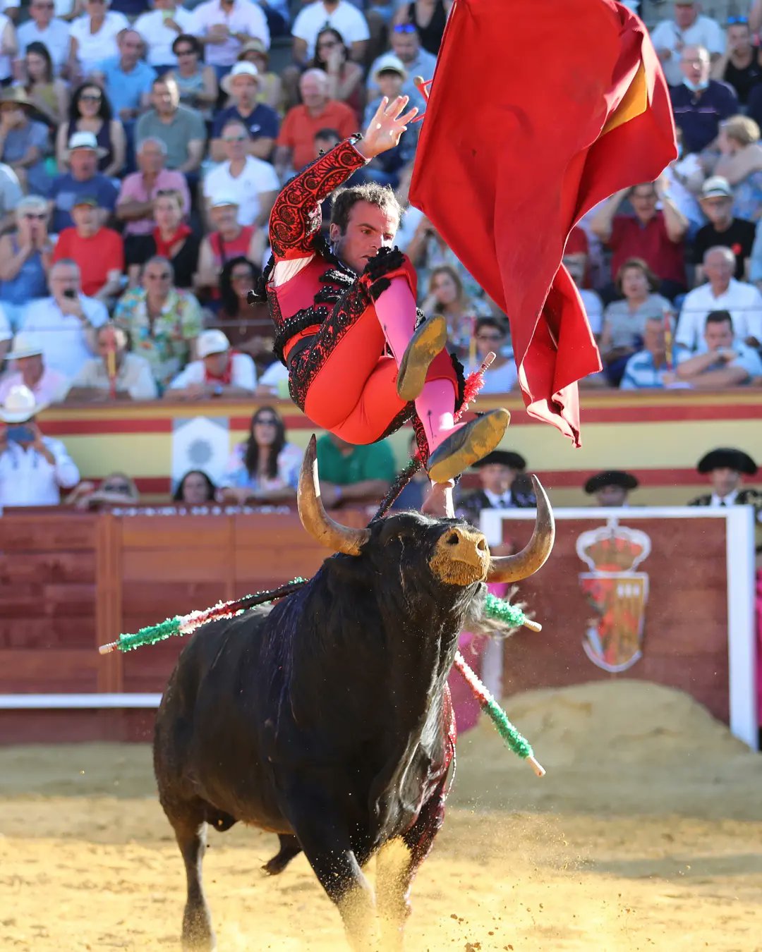 FERIA DEL TORO DE CENICIENTOS: Los ‘cuadris’ no perdonan, Damián Castaño cae herido.