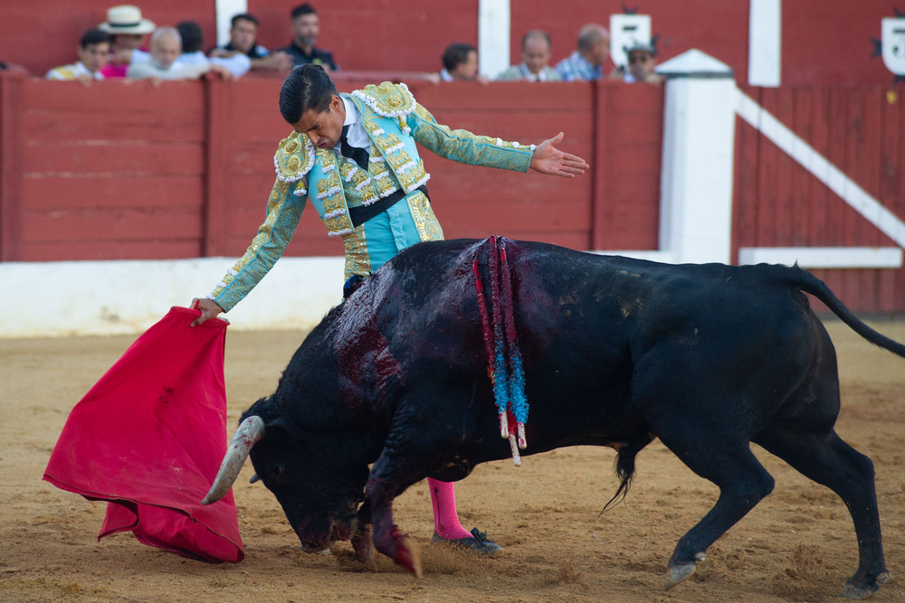 Monumento al toreo caro en Alcázar: Ángel Téllez indulta al sexto.