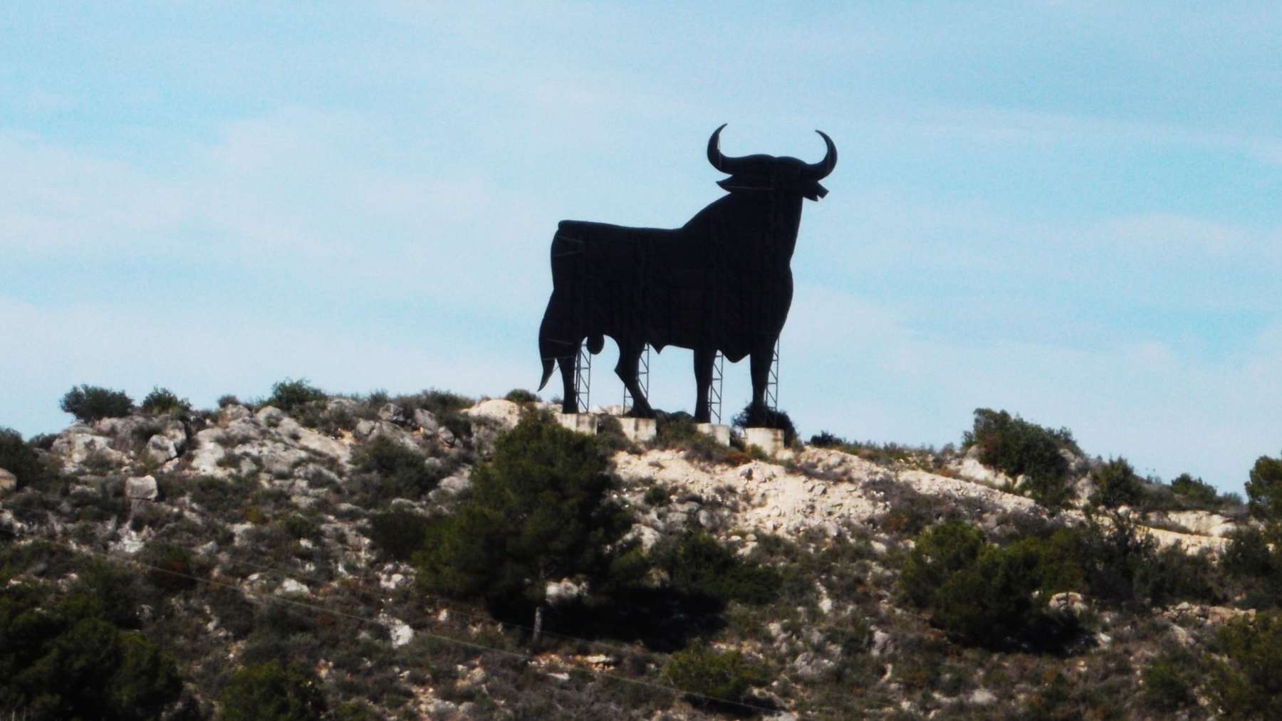 ¿Cuál fue el origen de los toros como fiesta nacional?