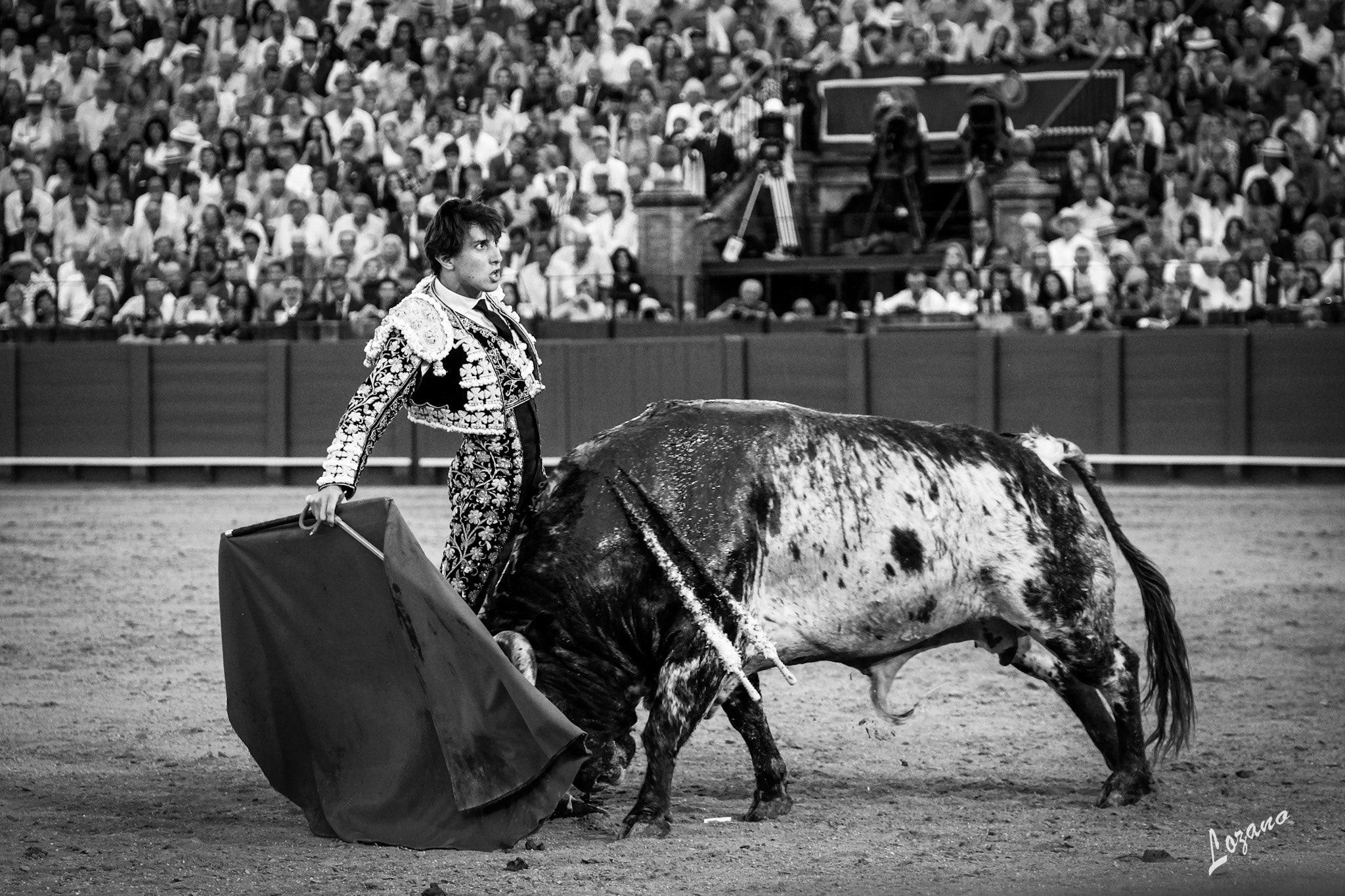 Sevilla: Roca Rey se impone por narices a los mansos.