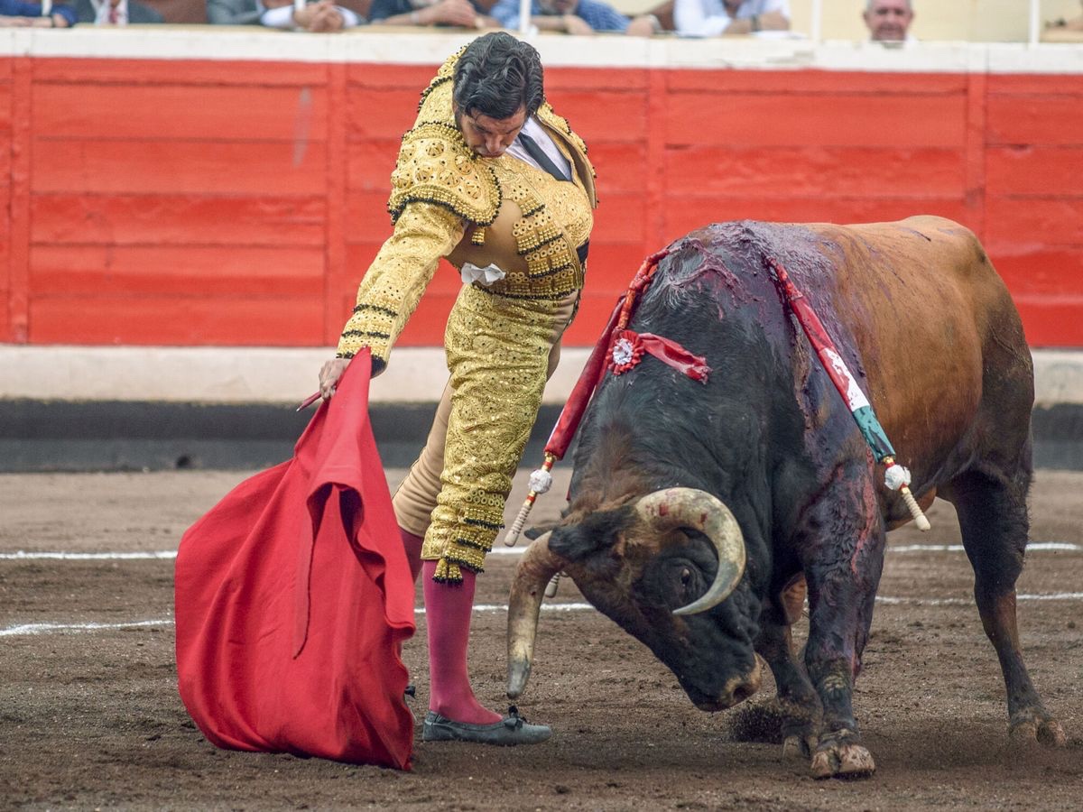 “Estás gordo”: Morante de la Puebla paraliza una corrida de toros en Bilbao ante el bullying del tendido.