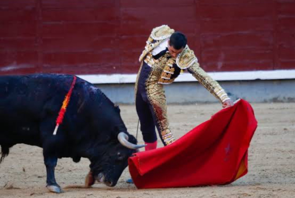 «Si Dios quiere estaremos en Fallas. Estamos negociando, pero vamos por buen camino”: Paco Ureña.