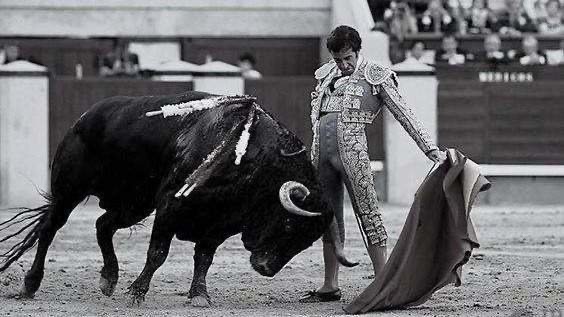 Los toros, en nuestra cultura y arte literario.