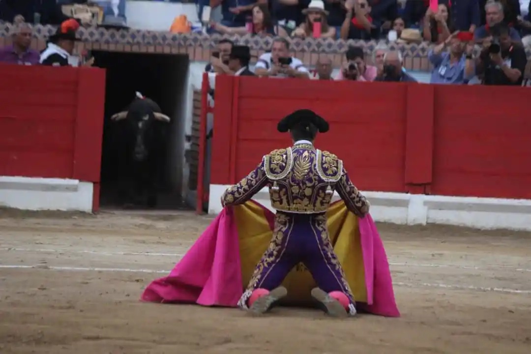 Escribano y Colombo: siete orejas en el cierre de la Feria Internacional de San Sebastián.