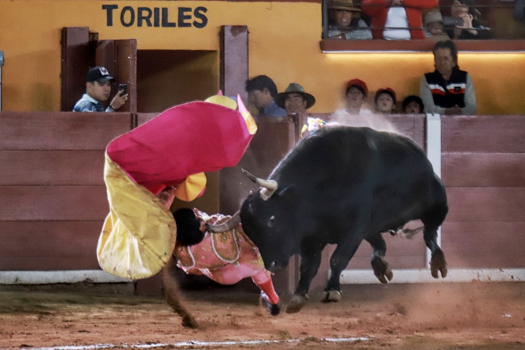 Tlaxcala: Ortega sufre una cornada en el cuello.