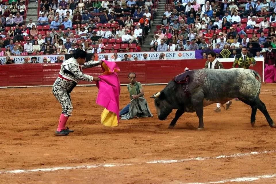 VIDEO: Espontáneo se mete al ruedo de la Plaza México e interrumpe corrida.