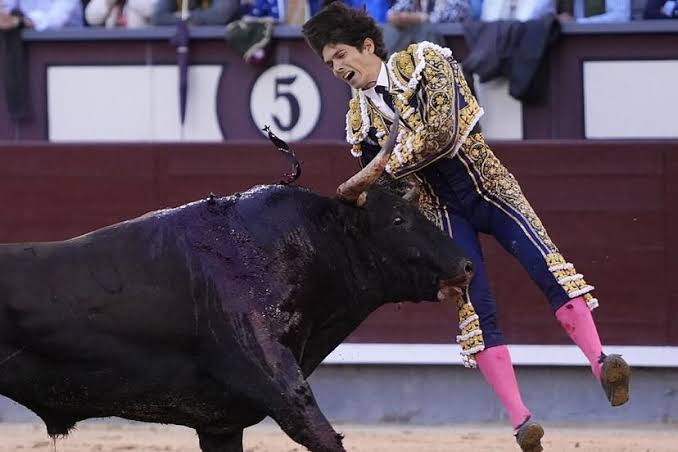 Un estudio analiza cómo afrontan los toreros el dolor.