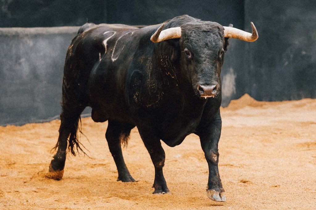 Sevilla: El toro pone a casi todos en su lugar.