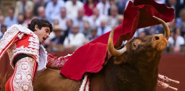 Sevilla: La descastada corrida de Alcurrucén frustra a toreros y público en La Maestranza.
