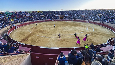 Más de 5.000 personas llenaron la plaza de toros de Móstoles.