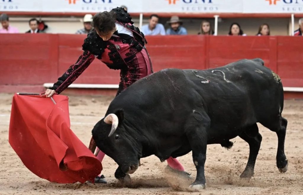 Polémica: Con eco de protestas regresa Roca Rey para la última corrida de la Feria de San Marcos.