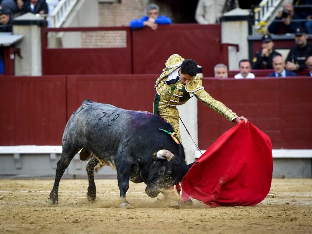 Novillada en Las Ventas: Preocupantes titubeos.