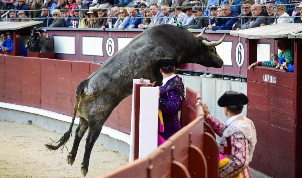 Juan de Castilla, de Vic a Madrid para crecer en la miurada.