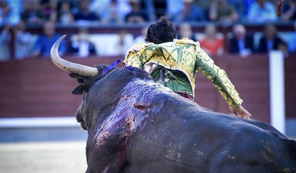Isaac Fonseca sufre cornada de 20 centímetros por la espalda en Madrid; su estado es grave.