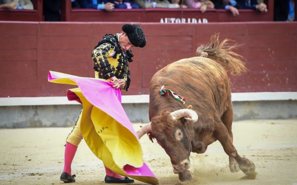 Feria de San Isidro: La bueyada del siglo.