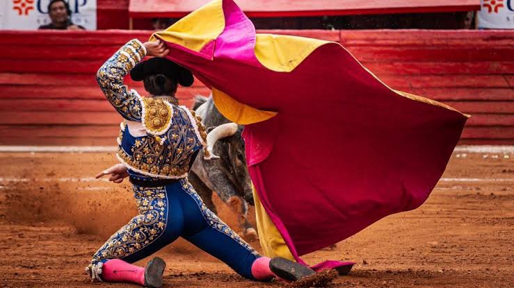 La Plaza México responde a los intentos de prohibición con una gran temporada de novilladas.