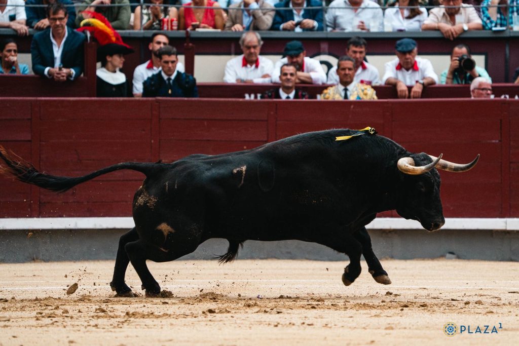 Análisis de la Feria de San Isidro 2024: Un triunfador sobre la bocina.