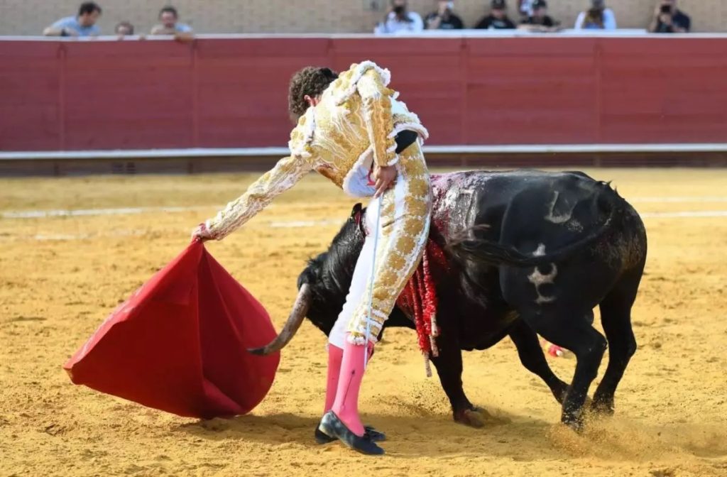 Copa Chenel: Una polémica final.