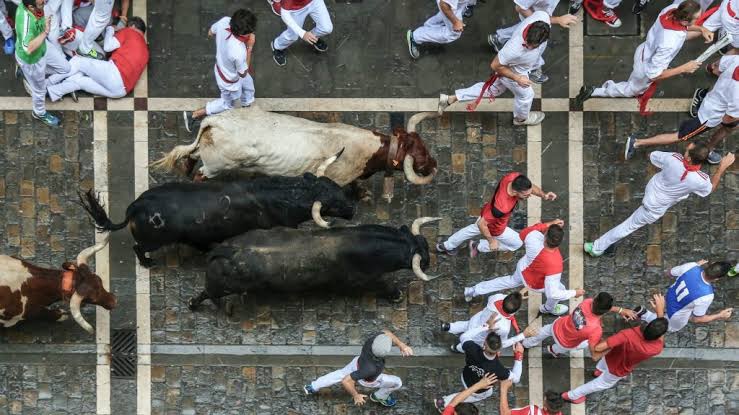Running of the Bulls 2024 Pamplona | San Fermin Festival 2024 Program.