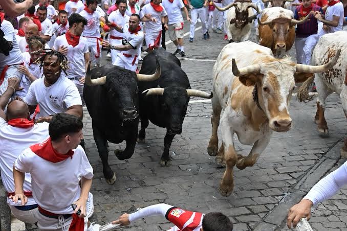 Los encierros de San Fermín, entre ‘aburridas’ carreras meteóricas o el morbo de la sangre.