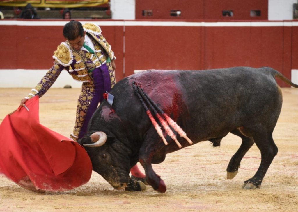 🇫🇷 Tarde lluviosa y emocionante en Mont de Marsan.