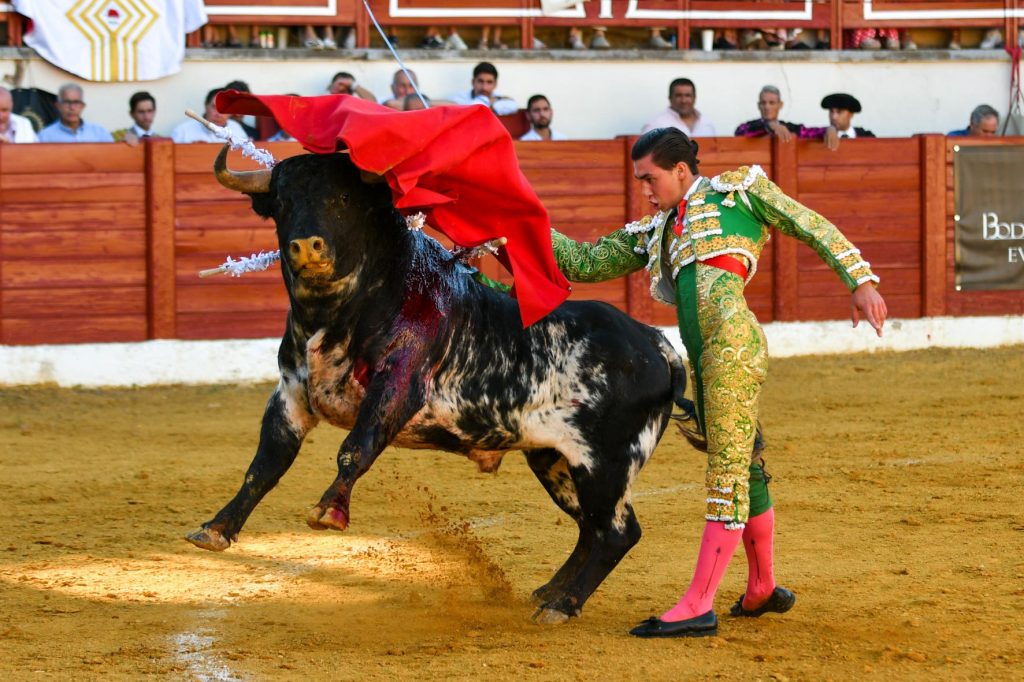Bruno Aloi corta una oreja en La Solana y clasifica a la final.