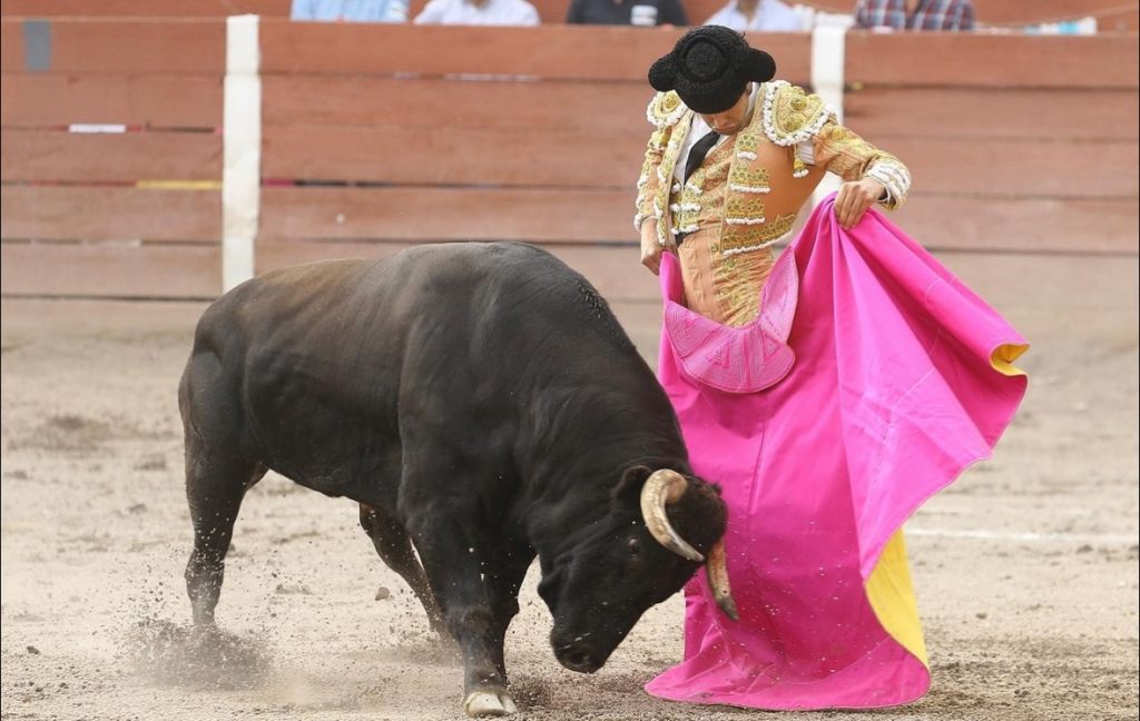 Jesús María: A oreja por coleta en una tarde interesante de toros y toreros.